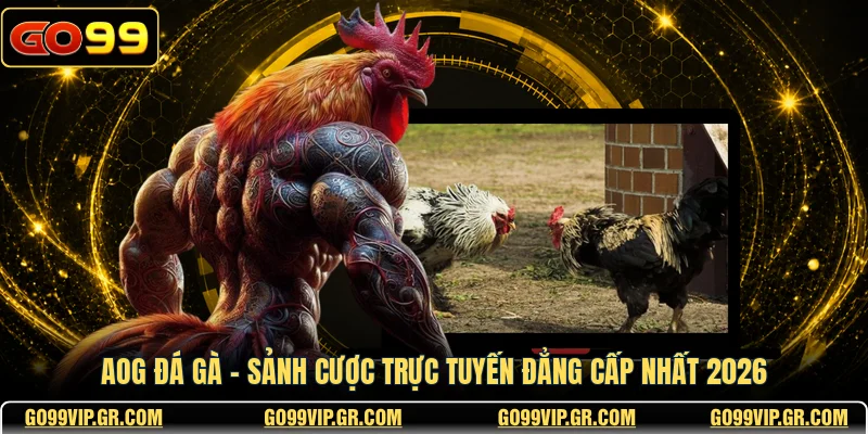 AOG Đá Gà